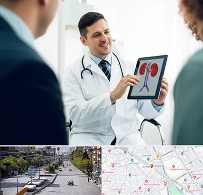 دکتر فوق تخصص سنگ کلیه در خیابان زند شیراز 