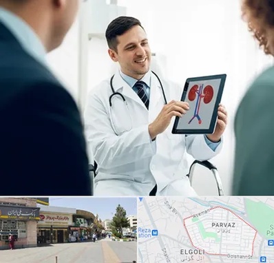 دکتر فوق تخصص سنگ کلیه در پرواز تبریز 