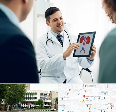 دکتر فوق تخصص سنگ کلیه در طالقانی 