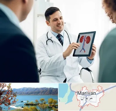 دکتر فوق تخصص سنگ کلیه در مریوان