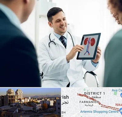 دکتر فوق تخصص سنگ کلیه در فرمانیه 