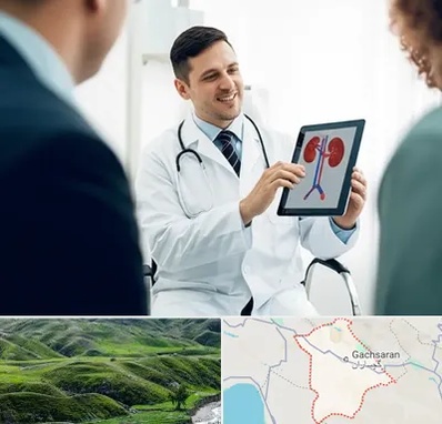 دکتر فوق تخصص سنگ کلیه در گچساران