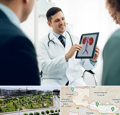 دکتر فوق تخصص سنگ کلیه در پردیس