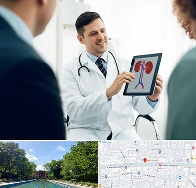 دکتر فوق تخصص سنگ کلیه در هشت بهشت اصفهان 