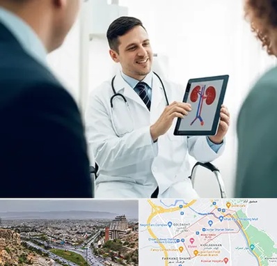 دکتر فوق تخصص سنگ کلیه در معالی آباد شیراز 