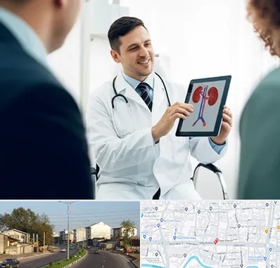 دکتر فوق تخصص سنگ کلیه در ضیابری رشت 