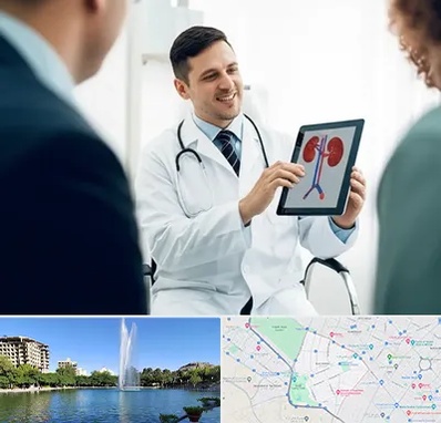 دکتر فوق تخصص سنگ کلیه در کوهسنگی مشهد 