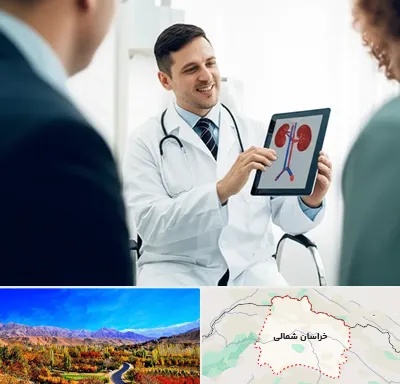 دکتر فوق تخصص سنگ کلیه در خراسان شمالی