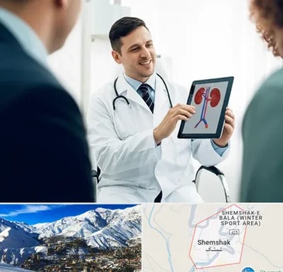 دکتر فوق تخصص سنگ کلیه در شمشک