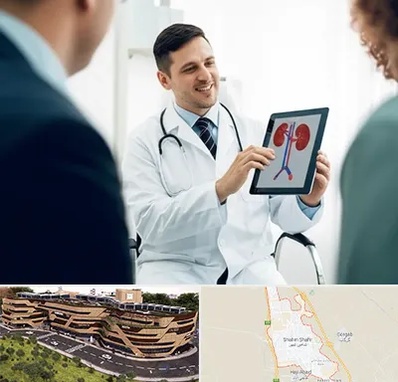 دکتر فوق تخصص سنگ کلیه در شاهین شهر