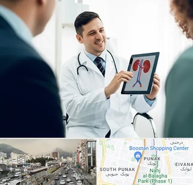 دکتر فوق تخصص سنگ کلیه در پونک 