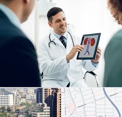 دکتر فوق تخصص سنگ کلیه در خیابان بهشتی