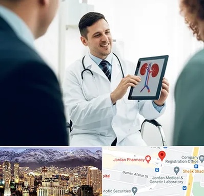 دکتر فوق تخصص سنگ کلیه در جردن 