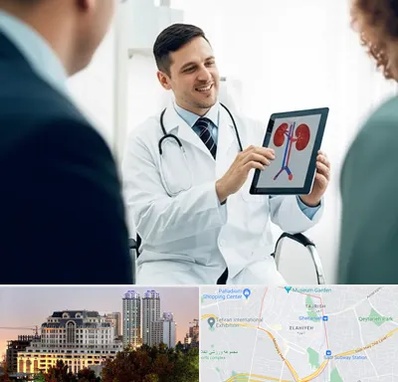 دکتر فوق تخصص سنگ کلیه در فرشته 