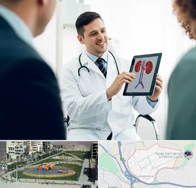 دکتر فوق تخصص سنگ کلیه در مرزداران تبریز 