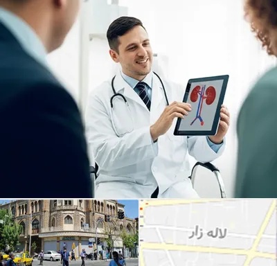 دکتر فوق تخصص سنگ کلیه در لاله زار