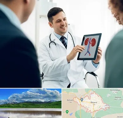 دکتر فوق تخصص سنگ کلیه در مرند