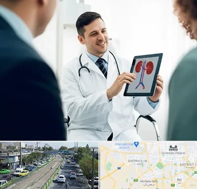 دکتر فوق تخصص سنگ کلیه در جنوب تهران 