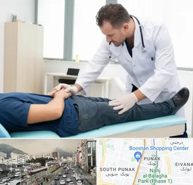دکتر متخصص واریکوسل در پونک 