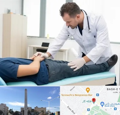 دکتر متخصص واریکوسل در فلکه گاز شیراز 