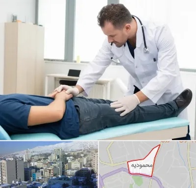 دکتر متخصص واریکوسل در محمودیه