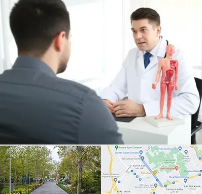 دکتر مشکلات تناسلی مردان در قدوسی غربی شیراز 