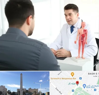 دکتر مشکلات تناسلی مردان در فلکه گاز شیراز 