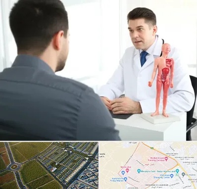 دکتر مشکلات تناسلی مردان در الهیه مشهد 