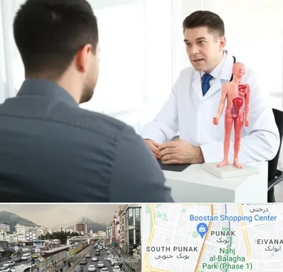 دکتر مشکلات تناسلی مردان در پونک 