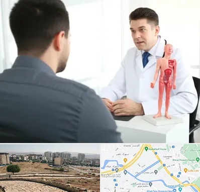 دکتر مشکلات تناسلی مردان در کوی وحدت شیراز 