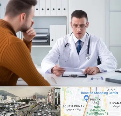 دکتر ناتوانی جنسی مردان در پونک 