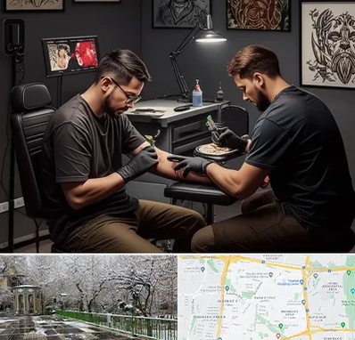 تاتو کار در باغ فیض 