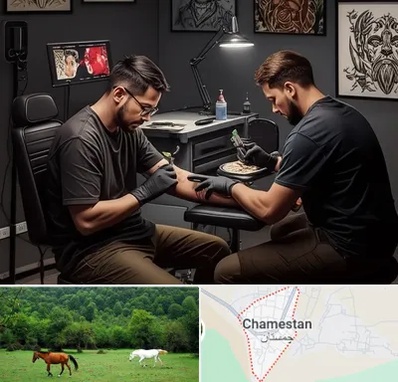 تاتو کار در چمستان