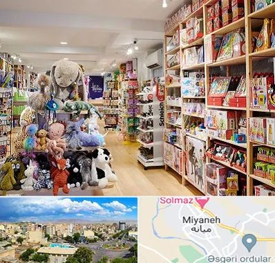 مرکز خرید اسباب بازی در میانه