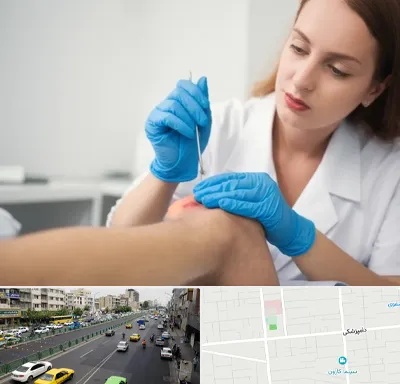 متخصص زخم در خیابان دامپزشکی