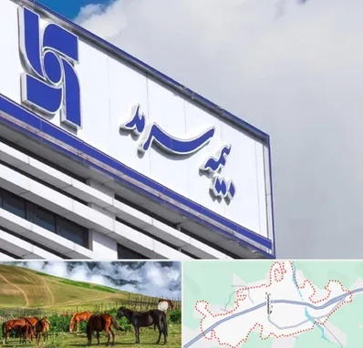 بیمه سرمد در تالش