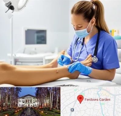 کارشناس زخم در باغ فردوس