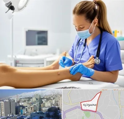 کارشناس زخم در محمودیه