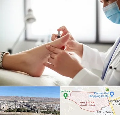 متخصص زخم دیابت در شهرک گلستان شیراز 