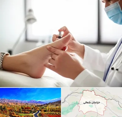 متخصص زخم دیابت در خراسان شمالی