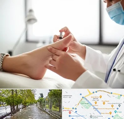 متخصص زخم دیابت در خیابان ارم شیراز 