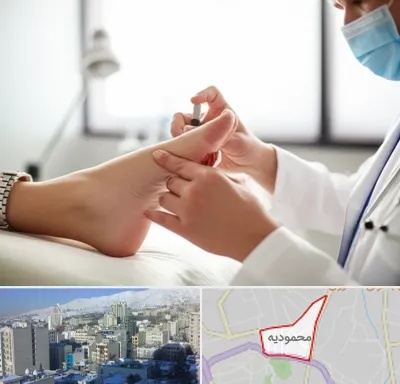 متخصص زخم دیابت در محمودیه