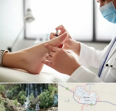 متخصص زخم دیابت در شیروان