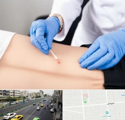 متخصص زخم بستر در خیابان دامپزشکی