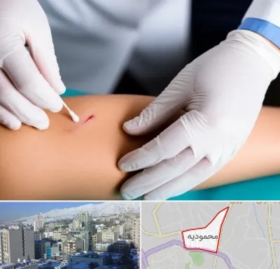 متخصص زخم عفونی در محمودیه