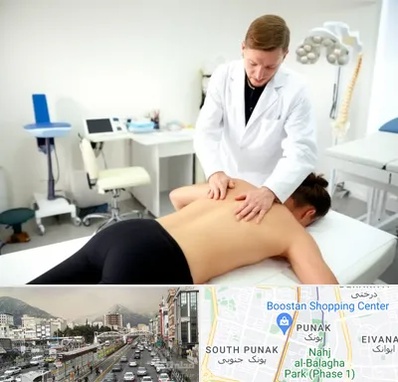متخصص درد در پونک
