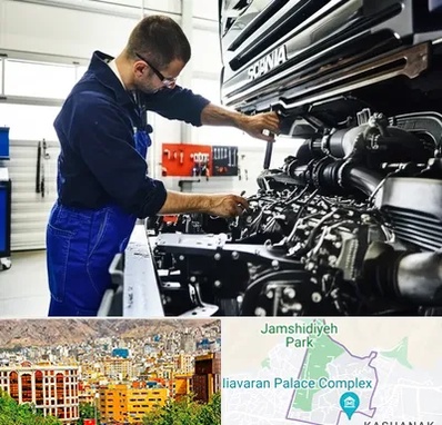 لوازم یدکی اسکانیا در نیاوران 