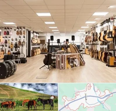 فروشگاه ساز در تالش