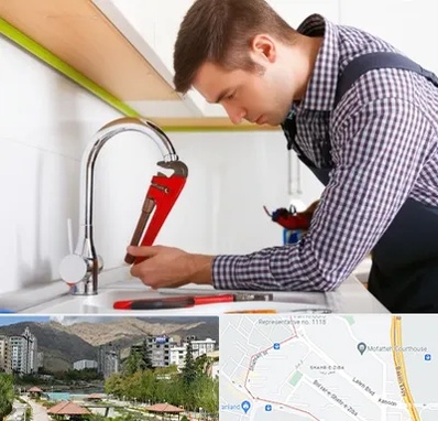 تعمیر شیرآلات در شهر زیبا
