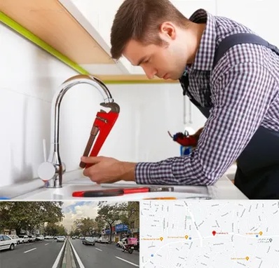 تعمیر شیرآلات در دولت 